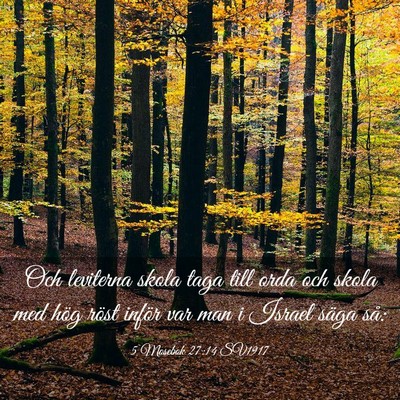 Picture 03 - 5 Mosebok 27:14 SV1917 - Och leviterna skola taga till orda och skola med - Bible Verse Picture