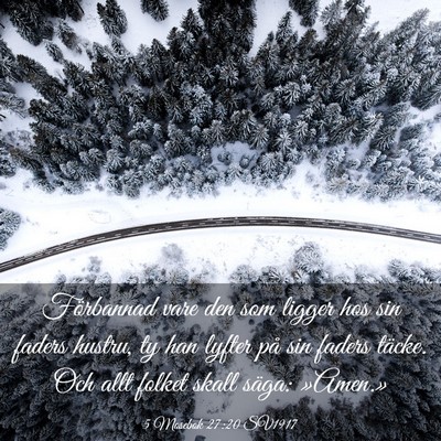 Picture 03 - 5 Mosebok 27:20 SV1917 - Förbannad vare den som ligger hos sin faders - Bible Verse Picture