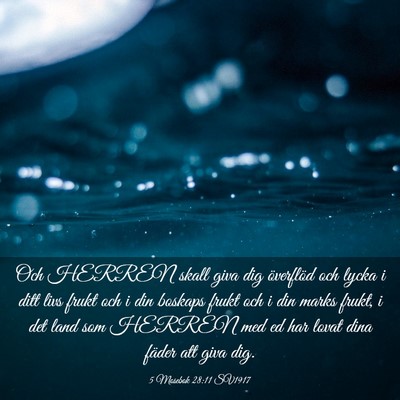 Picture 03 - 5 Mosebok 28:11 SV1917 - Och HERREN skall giva dig överflöd och lycka i - Bible Verse Picture