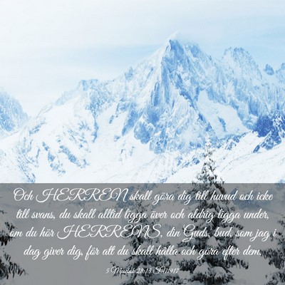 Picture 03 - 5 Mosebok 28:13 SV1917 - Och HERREN skall göra dig till huvud och icke - Bible Verse Picture