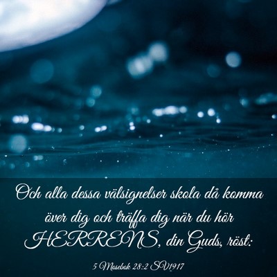 Picture 03 - 5 Mosebok 28:2 SV1917 - Och alla dessa välsignelser skola då komma - Bible Verse Picture