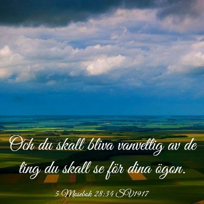 Picture 03 - 5 Mosebok 28:34 SV1917 - Och du skall bliva vanvettig av de ting du skall - Bible Verse Picture