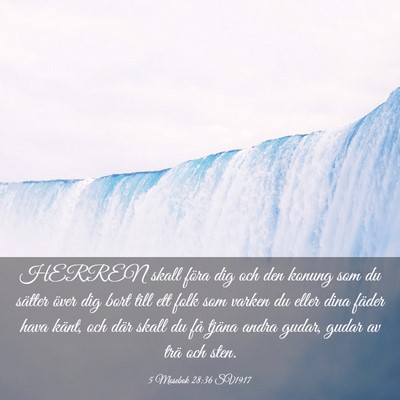Picture 03 - 5 Mosebok 28:36 SV1917 - HERREN skall föra dig och den konung som du - Bible Verse Picture