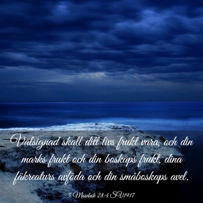 Picture 03 - 5 Mosebok 28:4 SV1917 - Välsignad skall ditt livs frukt vara, och din - Bible Verse Picture