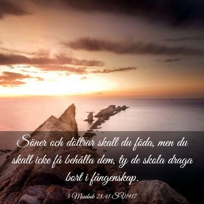 Picture 03 - 5 Mosebok 28:41 SV1917 - Söner och döttrar skall du föda, men du skall - Bible Verse Picture