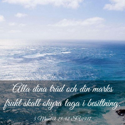 Picture 03 - 5 Mosebok 28:42 SV1917 - Alla dina träd och din marks frukt skall ohyra - Bible Verse Picture