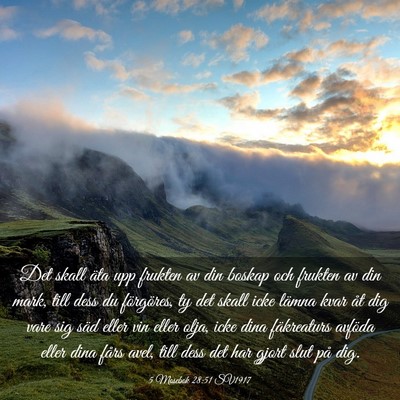 Picture 03 - 5 Mosebok 28:51 SV1917 - Det skall äta upp frukten av din boskap och - Bible Verse Picture