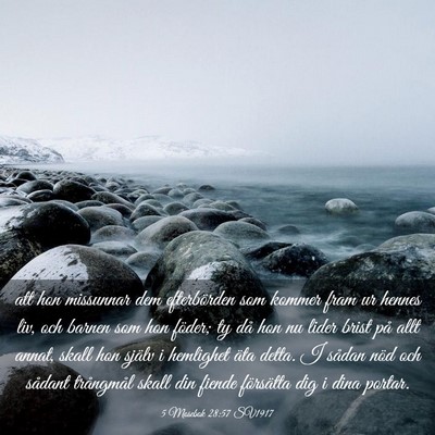 Picture 03 - 5 Mosebok 28:57 SV1917 - att hon missunnar dem efterbörden som kommer - Bible Verse Picture