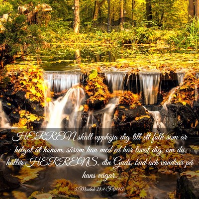 Picture 03 - 5 Mosebok 28:9 SV1917 - HERREN skall upphöja dig till ett folk som är - Bible Verse Picture