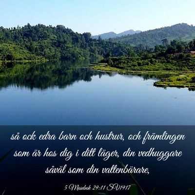 Picture 03 - 5 Mosebok 29:11 SV1917 - så ock edra barn och hustrur, och främlingen - Bible Verse Picture