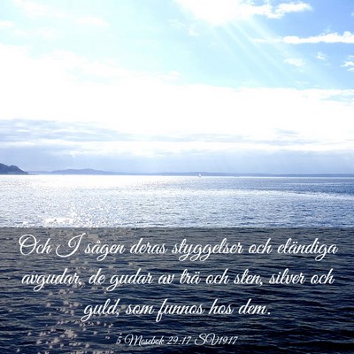 Picture 03 - 5 Mosebok 29:17 SV1917 - Och I sågen deras styggelser och eländiga - Bible Verse Picture