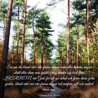 Picture 03 - 5 Mosebok 29:18 SV1917 - Så må då bland eder icke finnas någon man - Bible Verse Picture