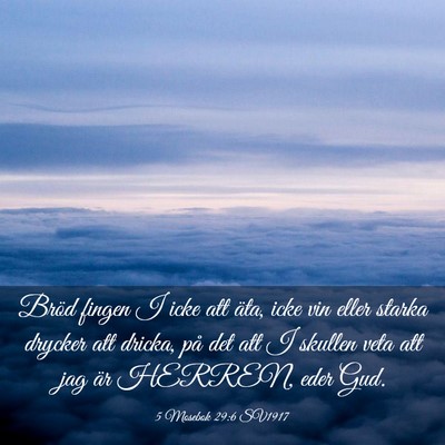 Picture 03 - 5 Mosebok 29:6 SV1917 - Bröd fingen I icke att äta, icke vin eller - Bible Verse Picture