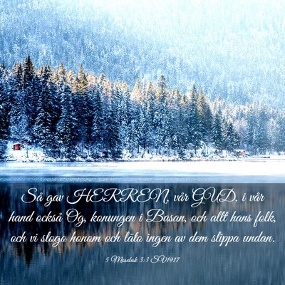 Picture 03 - 5 Mosebok 3:3 SV1917 - Så gav HERREN, vår GUD, i vår hand också Og, - Bible Verse Picture