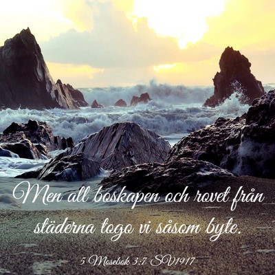 Picture 03 - 5 Mosebok 3:7 SV1917 - Men all boskapen och rovet från städerna togo - Bible Verse Picture