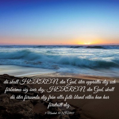 Picture 03 - 5 Mosebok 30:3 SV1917 - då skall HERREN, din Gud, åter upprätta dig - Bible Verse Picture