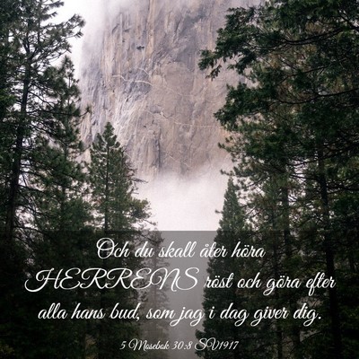 Picture 03 - 5 Mosebok 30:8 SV1917 - Och du skall åter höra HERRENS röst och göra - Bible Verse Picture