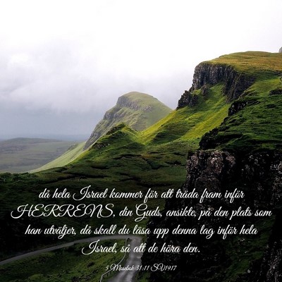 Picture 03 - 5 Mosebok 31:11 SV1917 - då hela Israel kommer för att träda fram - Bible Verse Picture