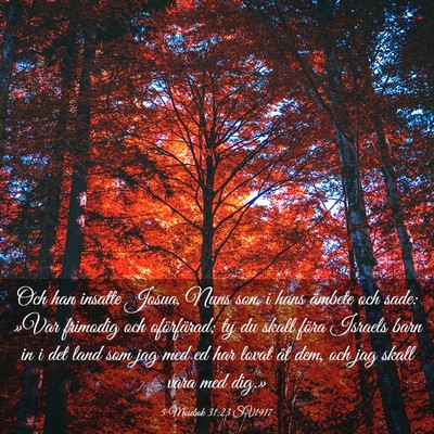 Picture 03 - 5 Mosebok 31:23 SV1917 - Och han insatte Josua, Nuns son, i hans ämbete - Bible Verse Picture