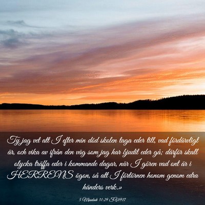 Picture 03 - 5 Mosebok 31:29 SV1917 - Ty jag vet att I efter min död skolen taga eder - Bible Verse Picture