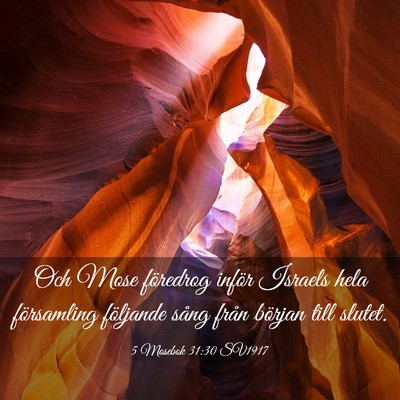 Picture 03 - 5 Mosebok 31:30 SV1917 - Och Mose föredrog inför Israels hela - Bible Verse Picture
