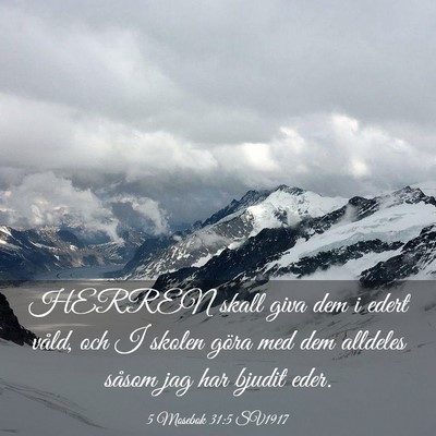 Picture 03 - 5 Mosebok 31:5 SV1917 - HERREN skall giva dem i edert våld, och I skolen - Bible Verse Picture