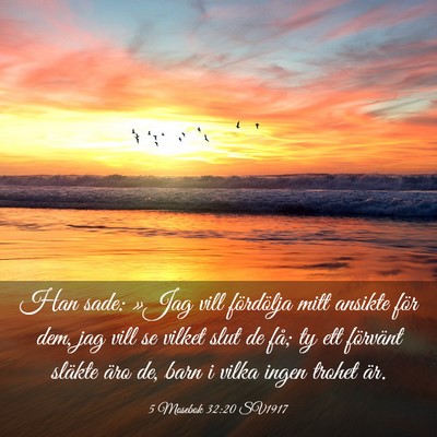 Picture 03 - 5 Mosebok 32:20 SV1917 - Han sade: »Jag vill fördölja mitt ansikte för - Bible Verse Picture