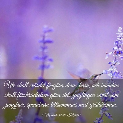 Picture 03 - 5 Mosebok 32:25 SV1917 - Ute skall svärdet förgöra deras barn, och - Bible Verse Picture