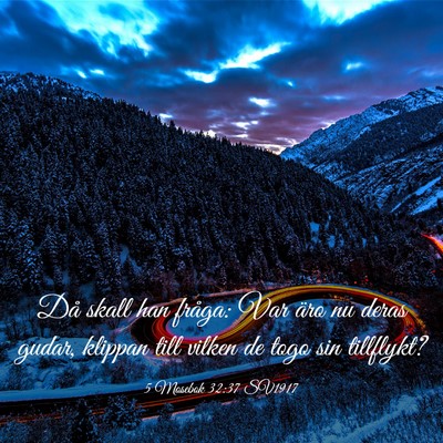 Picture 03 - 5 Mosebok 32:37 SV1917 - Då skall han fråga: Var äro nu deras gudar, - Bible Verse Picture