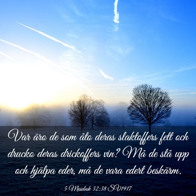 Picture 03 - 5 Mosebok 32:38 SV1917 - Var äro de som åto deras slaktoffers fett och - Bible Verse Picture