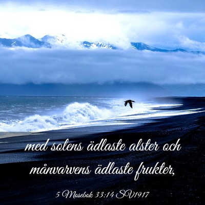 Picture 03 - 5 Mosebok 33:14 SV1917 - med solens ädlaste alster och månvarvens - Bible Verse Picture