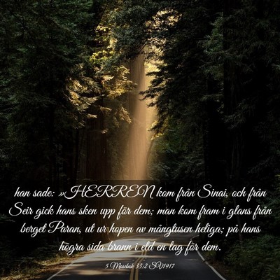 Picture 03 - 5 Mosebok 33:2 SV1917 - han sade: »HERREN kom från Sinai, och från - Bible Verse Picture