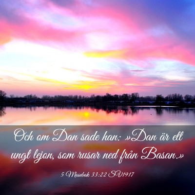 Picture 03 - 5 Mosebok 33:22 SV1917 - Och om Dan sade han: »Dan är ett ungt lejon, - Bible Verse Picture