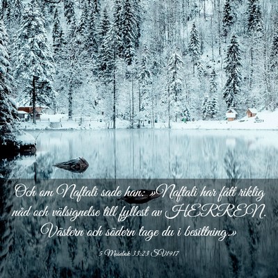 Picture 03 - 5 Mosebok 33:23 SV1917 - Och om Naftali sade han: »Naftali har fått - Bible Verse Picture