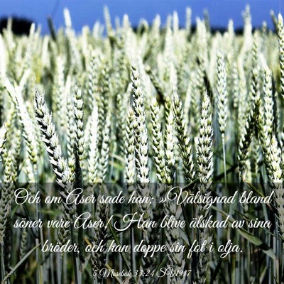 Picture 03 - 5 Mosebok 33:24 SV1917 - Och om Aser sade han: »Välsignad bland söner - Bible Verse Picture