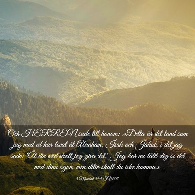 Picture 03 - 5 Mosebok 34:4 SV1917 - Och HERREN sade till honom: »Detta är det land - Bible Verse Picture