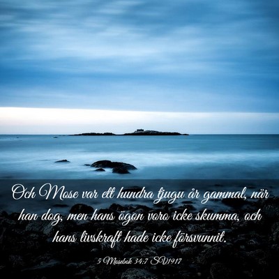 Picture 03 - 5 Mosebok 34:7 SV1917 - Och Mose var ett hundra tjugu år gammal, när - Bible Verse Picture