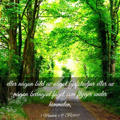 Picture 03 - 5 Mosebok 4:17 SV1917 - eller någon bild av något fyrfotadjur eller av - Bible Verse Picture