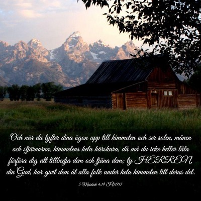 Picture 03 - 5 Mosebok 4:19 SV1917 - Och när du lyfter dina ögon upp till himmelen - Bible Verse Picture