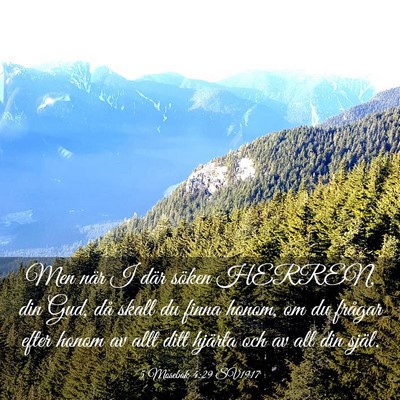 Picture 03 - 5 Mosebok 4:29 SV1917 - Men när I där söken HERREN, din Gud, då skall - Bible Verse Picture