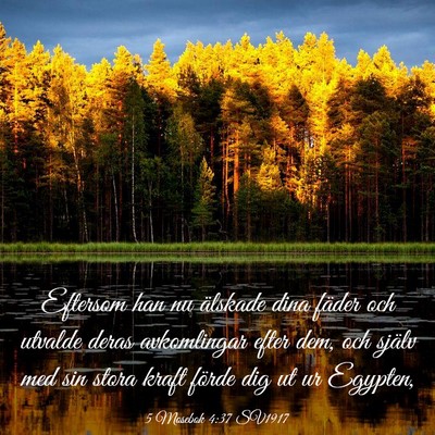 Picture 03 - 5 Mosebok 4:37 SV1917 - Eftersom han nu älskade dina fäder och utvalde - Bible Verse Picture
