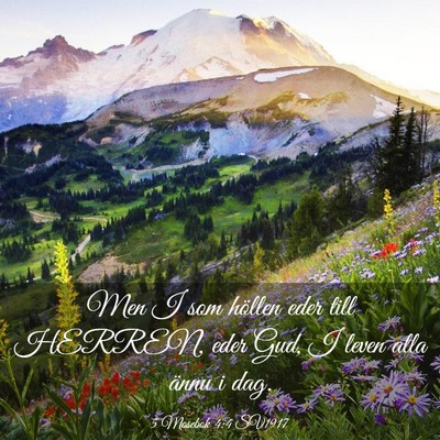 Picture 03 - 5 Mosebok 4:4 SV1917 - Men I som höllen eder till HERREN, eder Gud, I - Bible Verse Picture