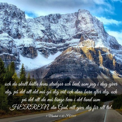 Picture 03 - 5 Mosebok 4:40 SV1917 - och du skall hålla hans stadgar och bud, som jag - Bible Verse Picture
