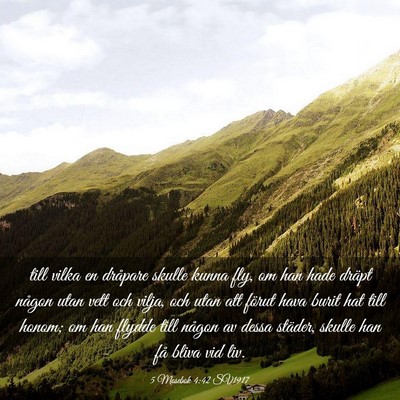 Picture 03 - 5 Mosebok 4:42 SV1917 - till vilka en dråpare skulle kunna fly, om han - Bible Verse Picture