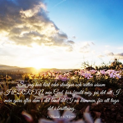 Picture 03 - 5 Mosebok 4:5 SV1917 - Se, jag har lärt eder stadgar och rätter såsom - Bible Verse Picture