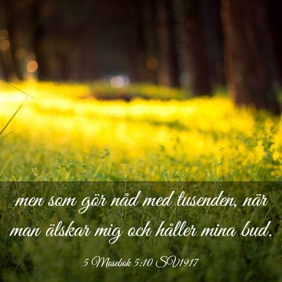 Picture 03 - 5 Mosebok 5:10 SV1917 - men som gör nåd med tusenden, när man älskar - Bible Verse Picture
