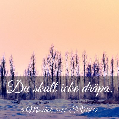 Picture 03 - 5 Mosebok 5:17 SV1917 - Du skall icke - Bible Verse Picture