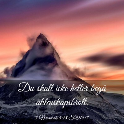 Picture 03 - 5 Mosebok 5:18 SV1917 - Du skall icke heller begå - Bible Verse Picture