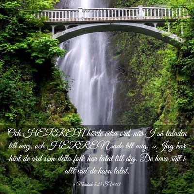Picture 03 - 5 Mosebok 5:28 SV1917 - Och HERREN hörde edra ord, när I så taladen - Bible Verse Picture