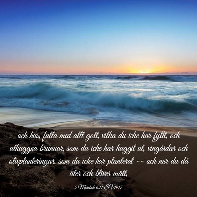 Picture 03 - 5 Mosebok 6:11 SV1917 - och hus, fulla med allt gott, vilka du icke har - Bible Verse Picture